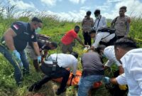 1761631318871-polisi-mengevakuasi-mayat-bocah-perempuan-diduga-korban-pemerkosaan-di-merauke-1761619657335_169