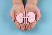 1761673742414-ilustrasi-ginjal_169