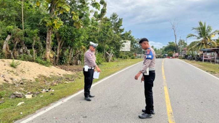 1761673798891-alan-poros-lasalepa-1761653671245_169