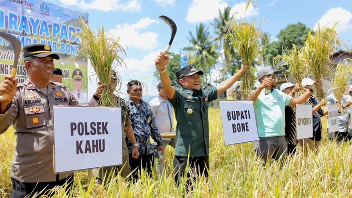 1761738790019-bupati-bone-andi-asman-sulaiman-saat-melakukan-panen-raya-di-kecamatan-kahu-agung-pramonodetiksulsel-1761731353894_169