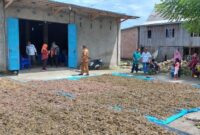 1761934079298-kabupaten-takalar-memiliki-lahan-budi-daya-rumput-laut-seluas-lebih-dari-3000-hektare-1761916039012_169