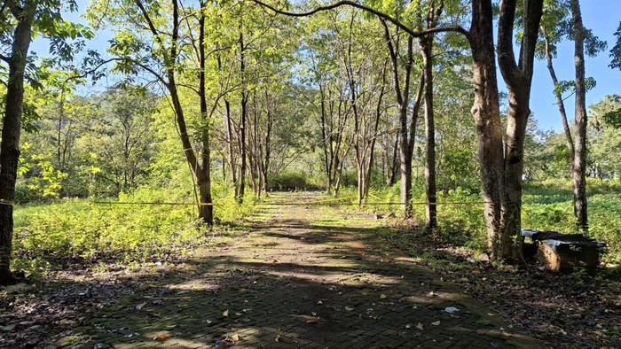 1761976730441-lokasi-wanita-tewas-dianiaya-kekasih-di-maros-dokumen-istimewa-1761963393258_169