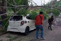 1762279221935-pohon-tumbang-timpa-mobil-di-parepare-1762253457374_169