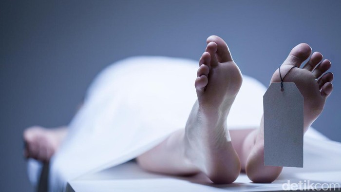 1762409015789-79a5c917-e4da-48b5-8528-0e39924ba89b_169