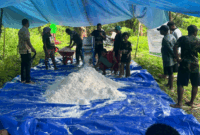 1762430419422-dosen-unamin-terapkan-inovasi-mesin-parut-sagu-kepada-petani-di-kampung-kampung-yeflio-kabupaten-sorong-papua-barat-daya-1762426725420_169