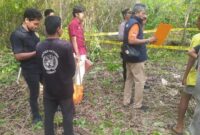 1762495424099-lokasi-penemuan-kerangka-manusia-di-selayar-1762487798587_169