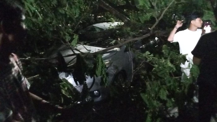 1762580988927-pohon-tumbang-timpa-mobil-di-jalan-perintis-kemerdekaan-makassar-1762570875146_169