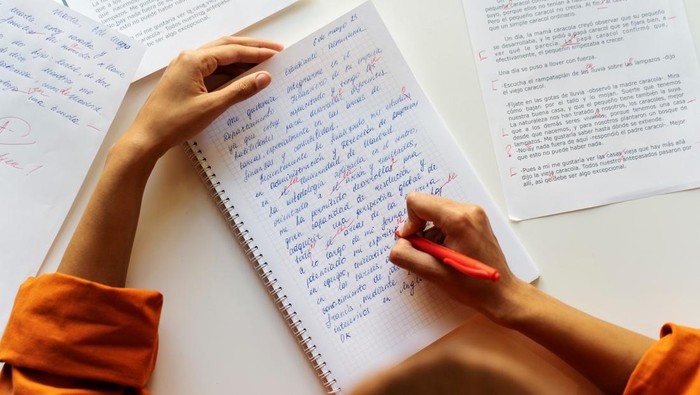 1762689110885-ilustrasi-menulis-teks_169