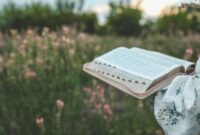 1763185867269-ilustrasi-membaca-alkitab-1754977554033_169