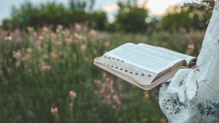 1763185867269-ilustrasi-membaca-alkitab-1754977554033_169