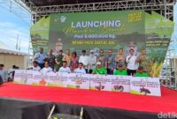 1763271995400-peluncuran-program-mandiri-benih-oleh-pemprov-sulsel-1763264433771_169