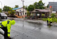 1763272156257-gowa-1763105263506_169