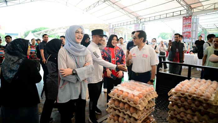 1763293611661-gubernur-wagub-sulsel-andi-sudirman-sulaiman-dan-fatmawati-rusdi-audiensi-dengan-mentan-andi-amran-sulaiman-meninjau-pasar-sem-1763282937540_169