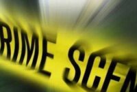 1763380702812-c88da392-bd90-458a-8651-263b163d5e48_169