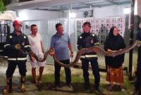 1763445509527-palopo-1763430945105_169