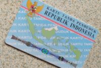 1763485683071-1480010714_169