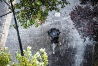 1764047277593-ilustrasi-hujan-1762235553812_169