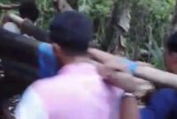 1764047281678-buton-selatan-1763987488738_169