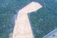 1764241767464-penampakan-hutan-mangrove-diduga-dibabat-untuk-pembangunan-rumah-pribadi-gubernur-sultra-andi-sumangerukka-dokumen-istimewa-1764227641814_169