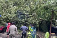 1764414469954-pohon-tumbang-di-parkiran-kantor-gubernur-sulsel-1764403333463_169