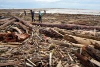 1764479424181-pantai-air-tawar-dipenuhi-kayu-gelondongan-usai-banjir-bandang-1764339908875_169