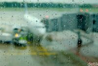 1765256904953-27769e80-3b3e-4091-a5f2-af1ae1dc233f_169