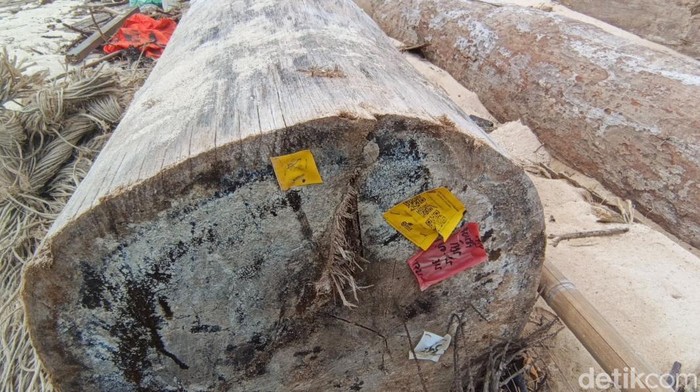 1765256906247-label-kementerian-kehutanan-ditemukan-di-kayu-terdampar-di-lampung-1765174488558_169