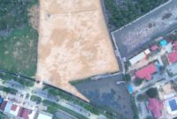 1765278488680-penampakan-hutan-mangrove-diduga-dibabat-untuk-pembangunan-rumah-pribadi-gubernur-sultra-andi-sumangerukka-dokumen-istimewa-1764227641890_169