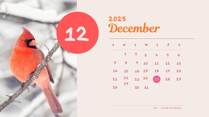 1765300018632-kalender-desember-2025-1763807495716_169