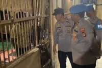 1765472839089-mamuju-1765445448460_169