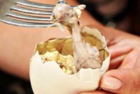 1765559316989-3ab208d8-5329-4168-9020-72f5640ffe74_43