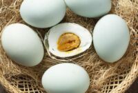 1765559336561-telur-ayam-vs-telur-bebek-mana-yang-lebih-bernutrisi-4_169