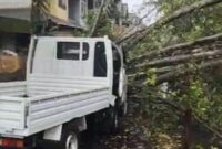 1765645636062-barru-1765629350581_169