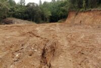 1765883216826-penampakan-puluhan-hektare-hutan-lindung-di-gowa-menjadi-gundul-akibat-illegal-logging-1765628896687_169