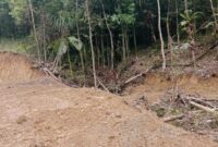 1765904894957-penampakan-puluhan-hektare-hutan-lindung-di-gowa-menjadi-gundul-akibat-illegal-logging-1765628896764_169