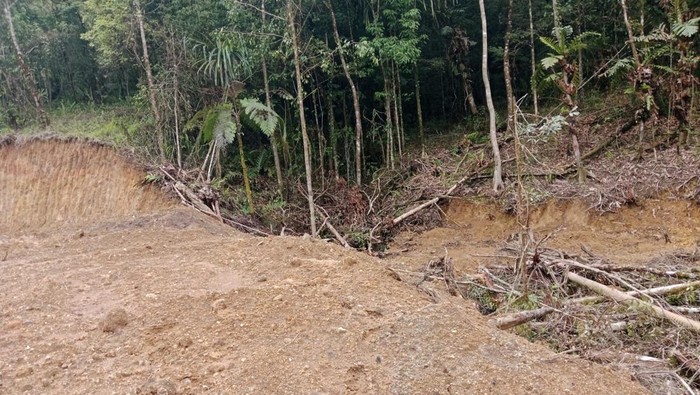 1765904894957-penampakan-puluhan-hektare-hutan-lindung-di-gowa-menjadi-gundul-akibat-illegal-logging-1765628896764_169