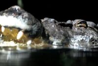 1766077700482-2be42f29-bd4d-4689-9f97-44c4daf16b30_169