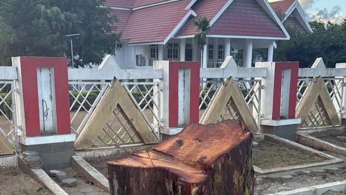 1766228923263-gubernur-sulteng-anwar-hafid-marah-usai-sebuah-pohon-depan-rumah-jabatannya-ditebang-1766227768075_169