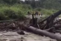 1766228933581-viral-gelondongan-kayu-terbawa-banjir-putus-jembatan-di-keerom-papua-1766224638369_169