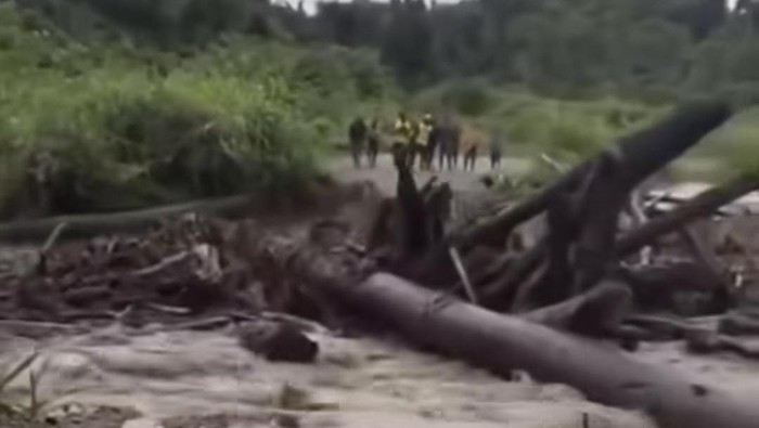 1766228933581-viral-gelondongan-kayu-terbawa-banjir-putus-jembatan-di-keerom-papua-1766224638369_169