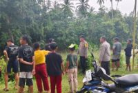 1767632916003-tim-sar-gabungan-melakukan-proses-pencarian-bocah-hilang-diterkam-buaya-di-sungai-konawe-selatan-1767601389187_169