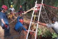 1767892137272-proses-evakuasi-sapi-dari-sumur-kedalaman-30-meter-di-luwu-timur-1767875761198_169
