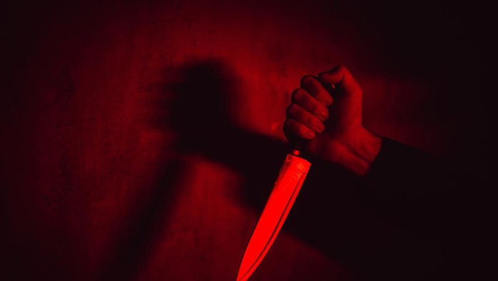 1768108028720-ilustrasi-pembunuhan-1754995633475_169