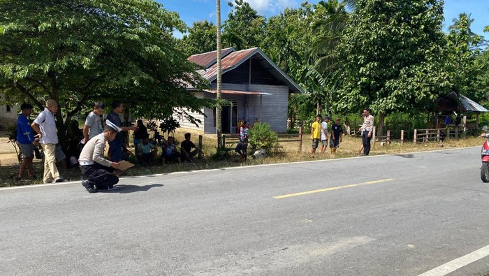 1768129581055-konawe-selatan-1768112856503_169