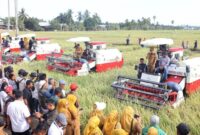 1768216069404-momen-panen-ip-300-di-kecamatan-dua-boccoe-agung-pramonodetiksulsel-1768214355329_169