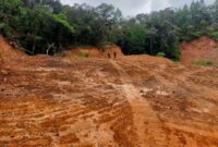 1768216069889-penampakan-puluhan-hektare-hutan-lindung-di-gowa-menjadi-gundul-akibat-illegal-logging-1765628896818_169