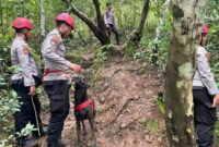 1769058525780-anjing-pelacak-k-9-1769049382315_169