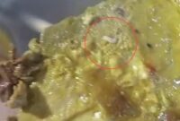 1769080073201-sdn-166-pinrang-1769066755777_169