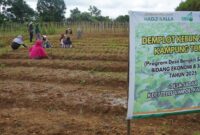 1769490446124-tim-laz-hadji-kalla-melakukan-monitoring-di-sejumlah-wilayah-sulsel-yang-masuk-dalam-program-desa-bangkit-sejahtera-dbs-2025-b-1769482489011_169